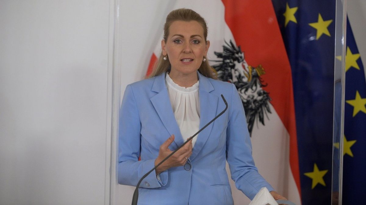 Rakouská ministryně práce odstoupila kvůli plagiátorství